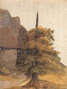 Albrecht Durer A Tree in a Quarry painting
